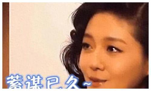 娱乐圈最新爆料假结婚